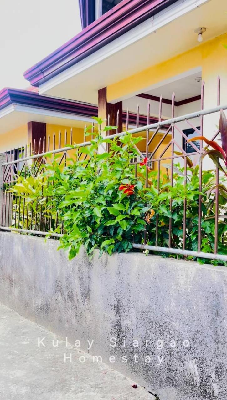 Ameeza Houze Homestay - Siargao General Luna  Exterior foto